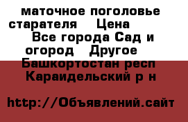 маточное поголовье старателя  › Цена ­ 3 700 - Все города Сад и огород » Другое   . Башкортостан респ.,Караидельский р-н